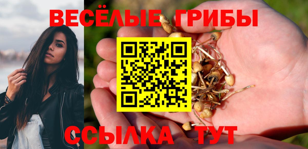 Псилоцибиновые грибы Psilocybine cubensis  наркота  Губкинский  Псилоцибиновые грибы Cubensis  Вход с VPN 
